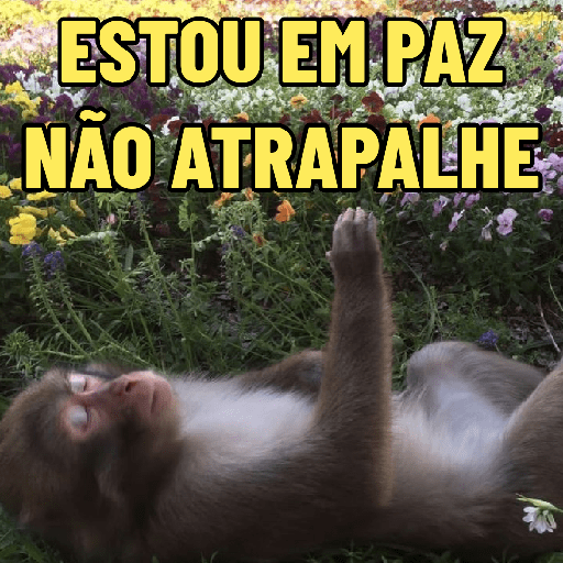 Figurinha