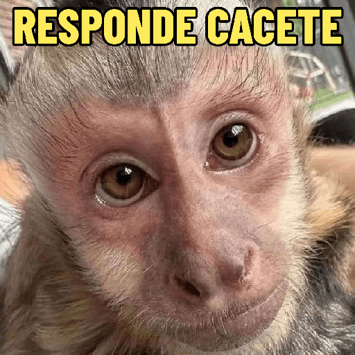 Figurinha