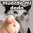 Stika