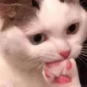 Stika