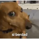 ملصق