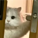 ملصق