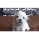 ملصق