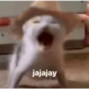 ملصق