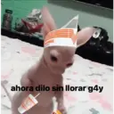 ملصق