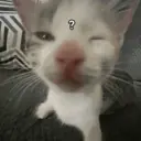 ملصق
