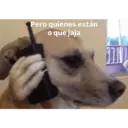 ملصق