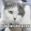 ملصق