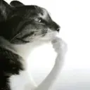 Çıkartma