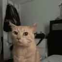 Çıkartma