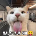 Çıkartma