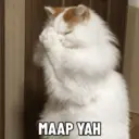 Çıkartma