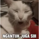 Çıkartma