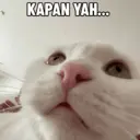 Çıkartma
