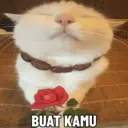 Çıkartma