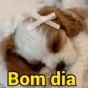 Figurinha