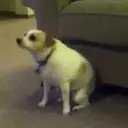 Figurinha