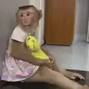 Límmiði