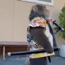 Límmiði