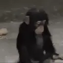 Límmiði