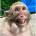Çıkartma