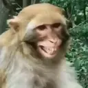 Çıkartma