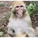 Çıkartma
