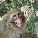 Çıkartma
