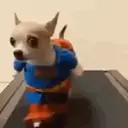 Figurinha