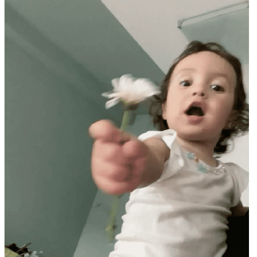 Figurinha