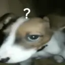 Figurinha
