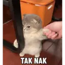 Nhãn dán