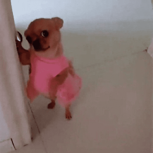 Figurinha
