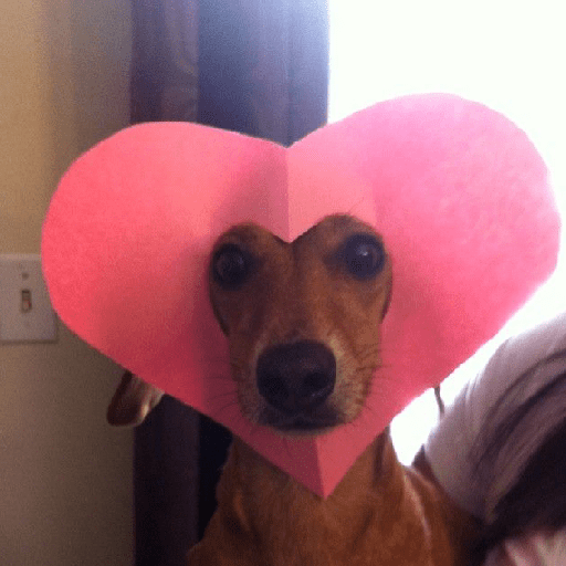 Figurinha