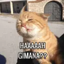 Çıkartma
