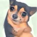 Стикер