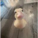 Figurinha