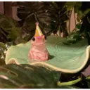 Figurinha