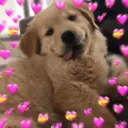 ملصق