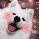 ملصق