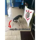 Figurinha