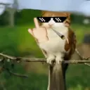 Стикер