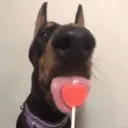 Figurinha