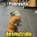 Figurinha