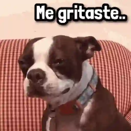 Figurinha