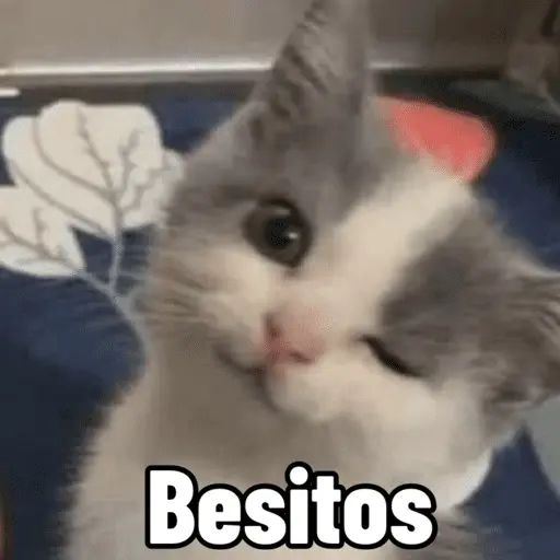 Figurinha