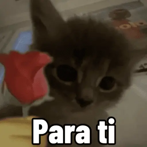 Figurinha