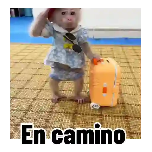 Figurinha