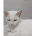 Çıkartma