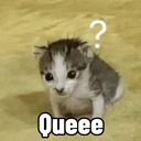 贴纸